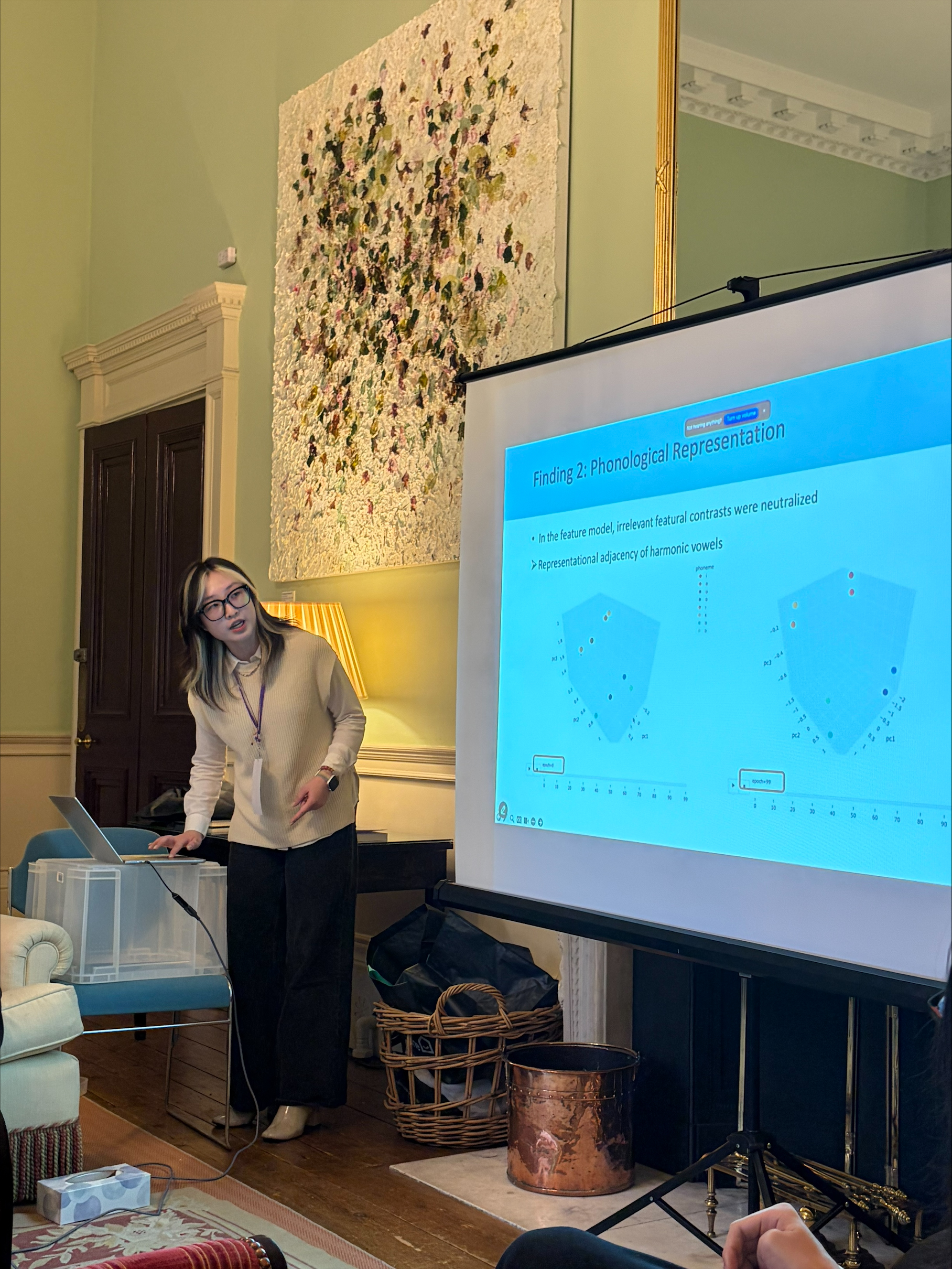 Exploring the Neural Network Implementation of Phonological Systems: Insights from Vowel Harmony and Disharmony